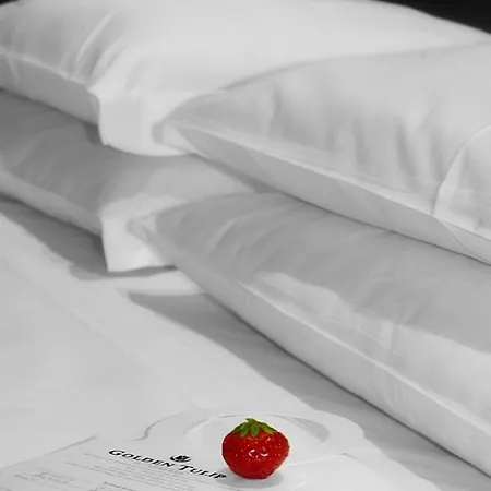 Bellambriana 4* Roma